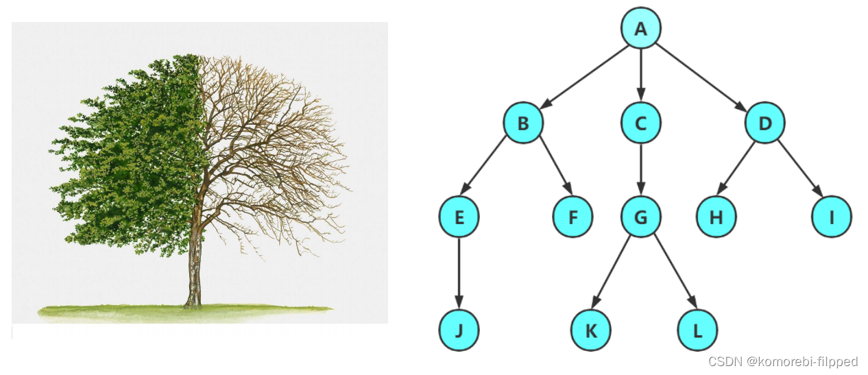 数据结构——二叉树