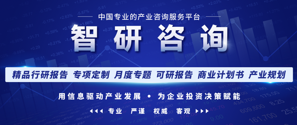 2023-2029年中国互联网行业市场竞争态势及投资机会分析报告
