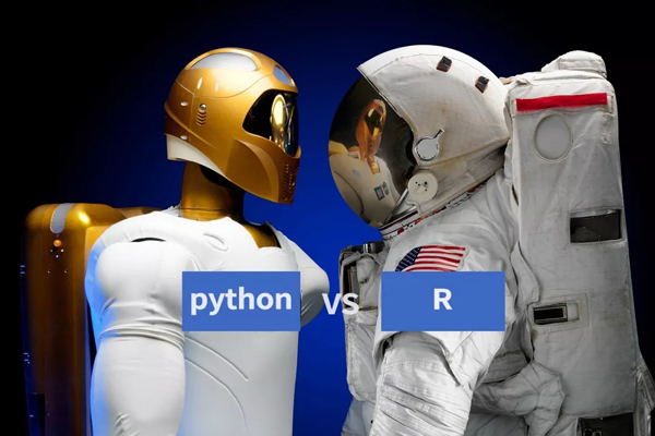 你爱 “Python”的身体，还是“R”的灵魂？
