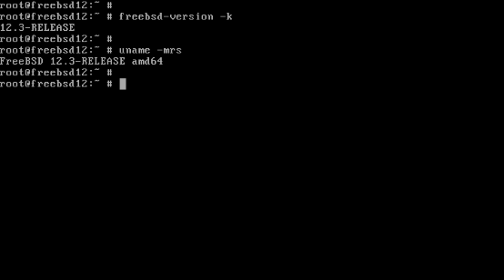 如何从FreeBSD 12升级到FreeBSD13