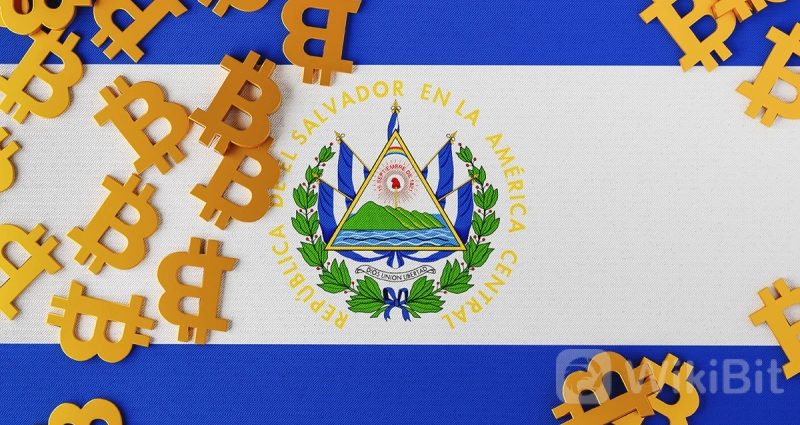 萨尔瓦多副总统预测别国将效仿采用比特币
